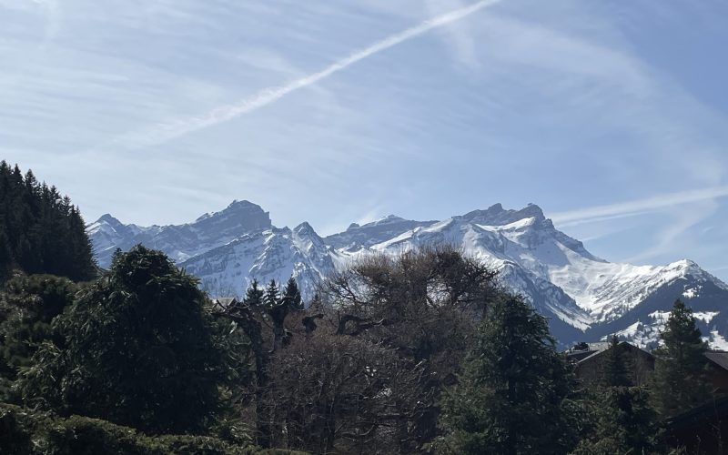 Gémeaux 2 - 14