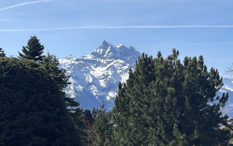 Gémeaux 2 - 15