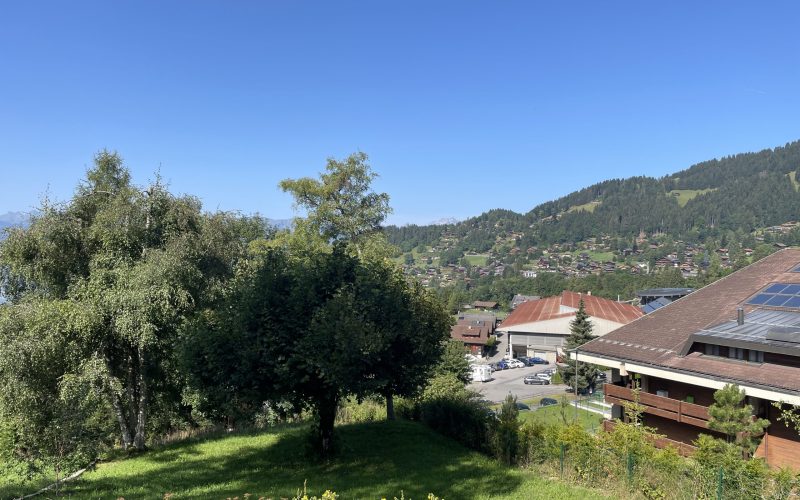 Kunz 4 - 12