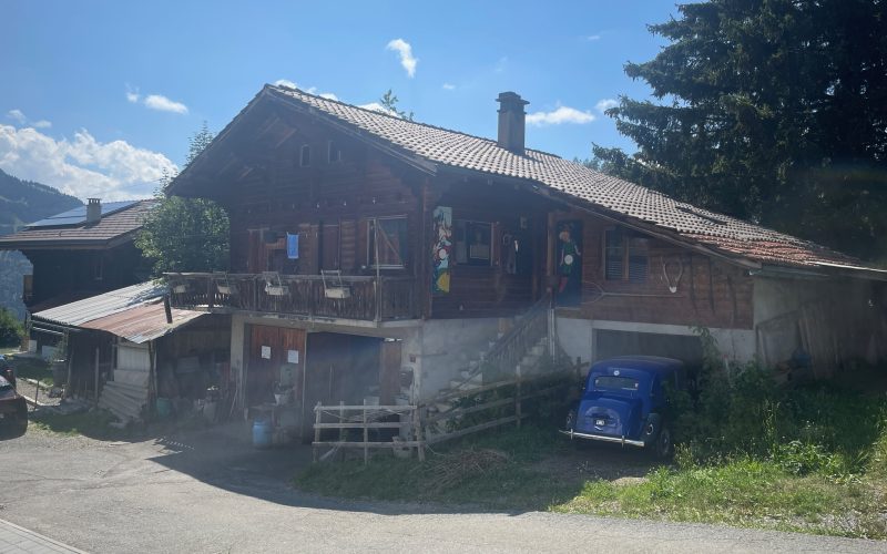 La Bergeronnette - 1