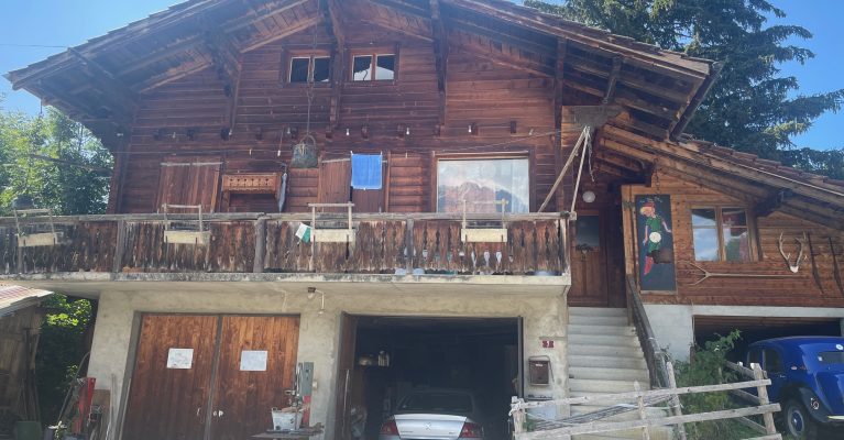 La Bergeronnette - 2