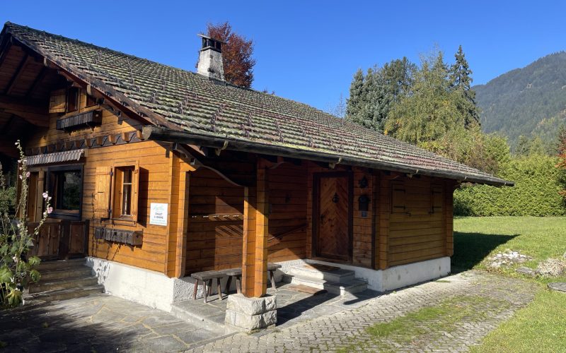 Pardal - 3