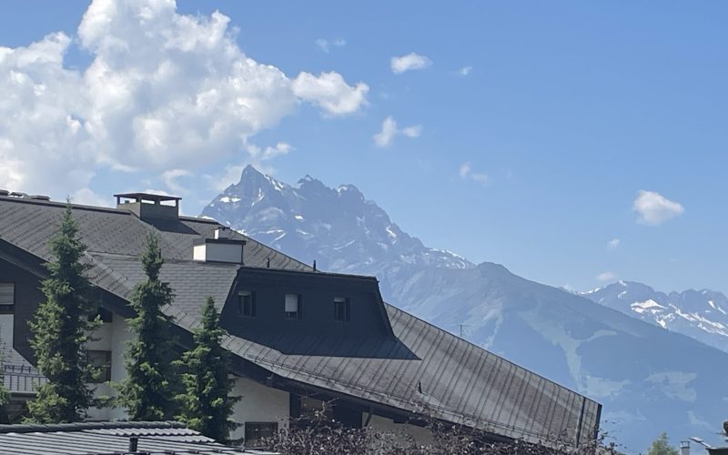 Plein Soleil 4 - 15