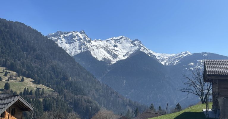 Terrain Gryon - 4